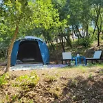 Quinta Da Choupana Гостевой дом