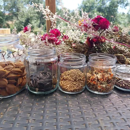 Gæstehus Quinta Da Choupana *