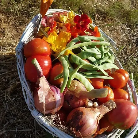 招待所 Quinta Da Choupana *