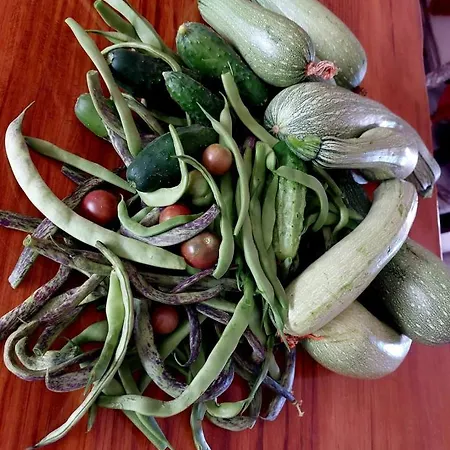 招待所 Quinta Da Choupana