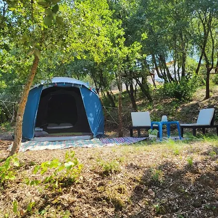 Quinta Da Choupana Gæstehus