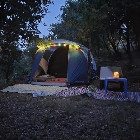 Quinta Da Choupana Pensión