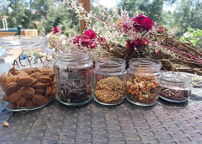 Casa de hóspedes Quinta Da Choupana *