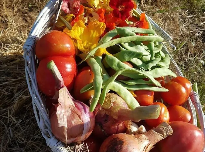 Casa de hóspedes Quinta Da Choupana *