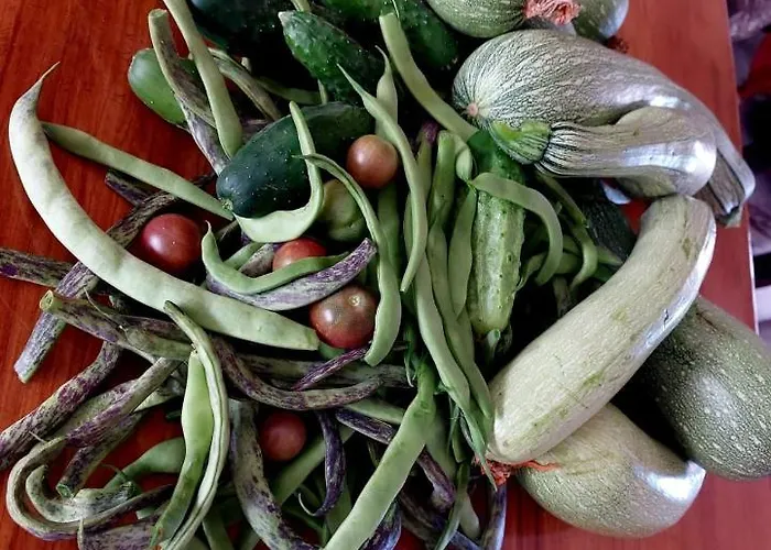 Casa de hóspedes Quinta Da Choupana