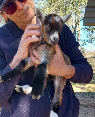 Quinta Da Choupana Casa de hóspedes Tomar