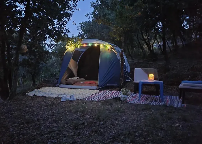 Quinta Da Choupana Casa de hóspedes