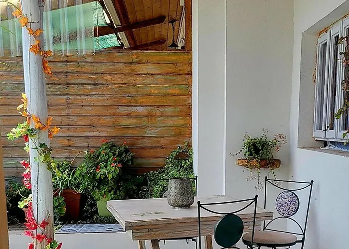 Quinta Da Choupana בית הארחה טומאר